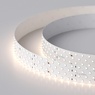 Лента светодиодная RT 2-2500 24V Day4000 4x2 (2835, 700 LED, LUX) (Arlight, 30 Вт/м, IP20)
