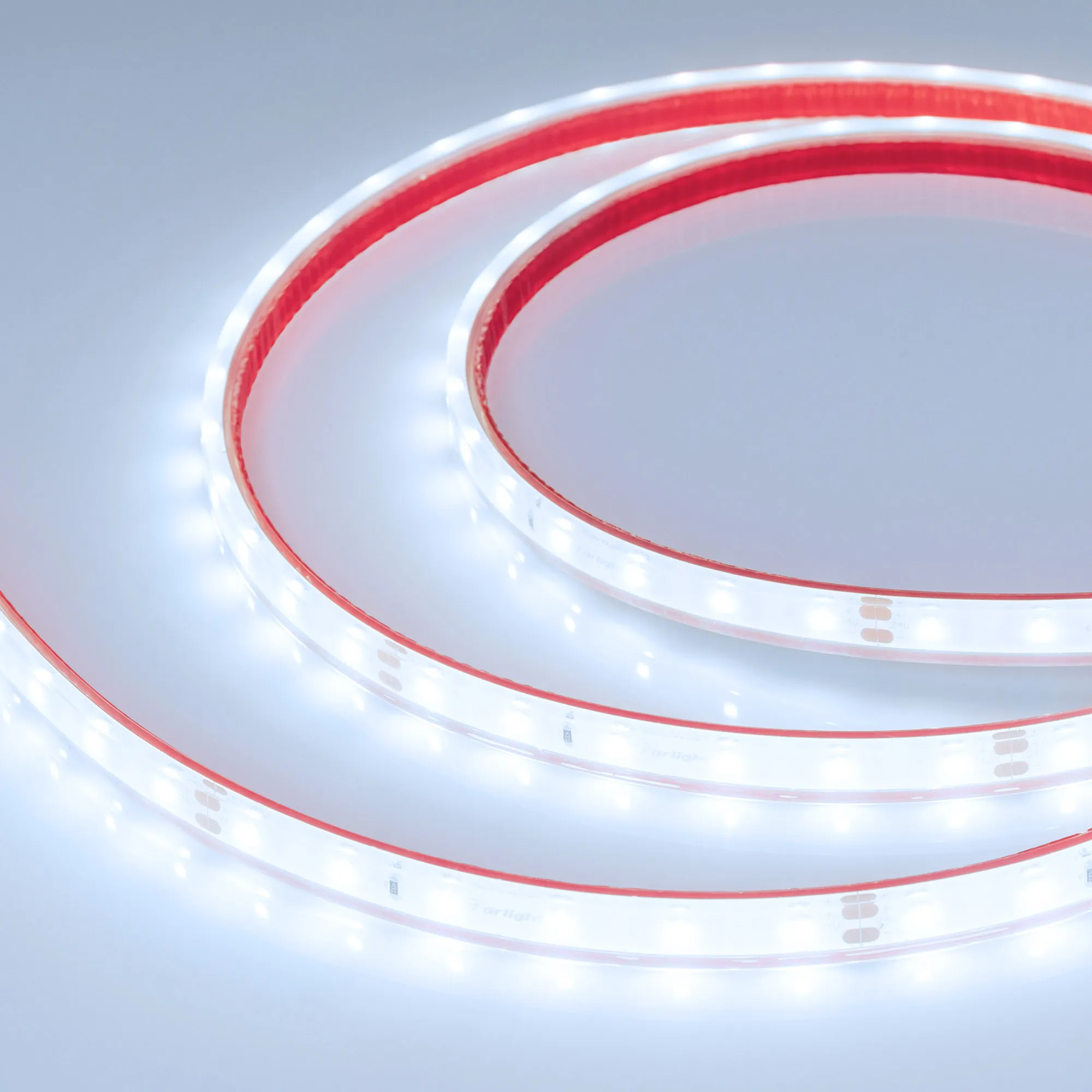 Лента светодиодная герметичная RTW-PFS-A60-11mm 24V Cool 8K (4.8 W/m, IP68, 2835, 5m) (Arlight, -) - изображение товара