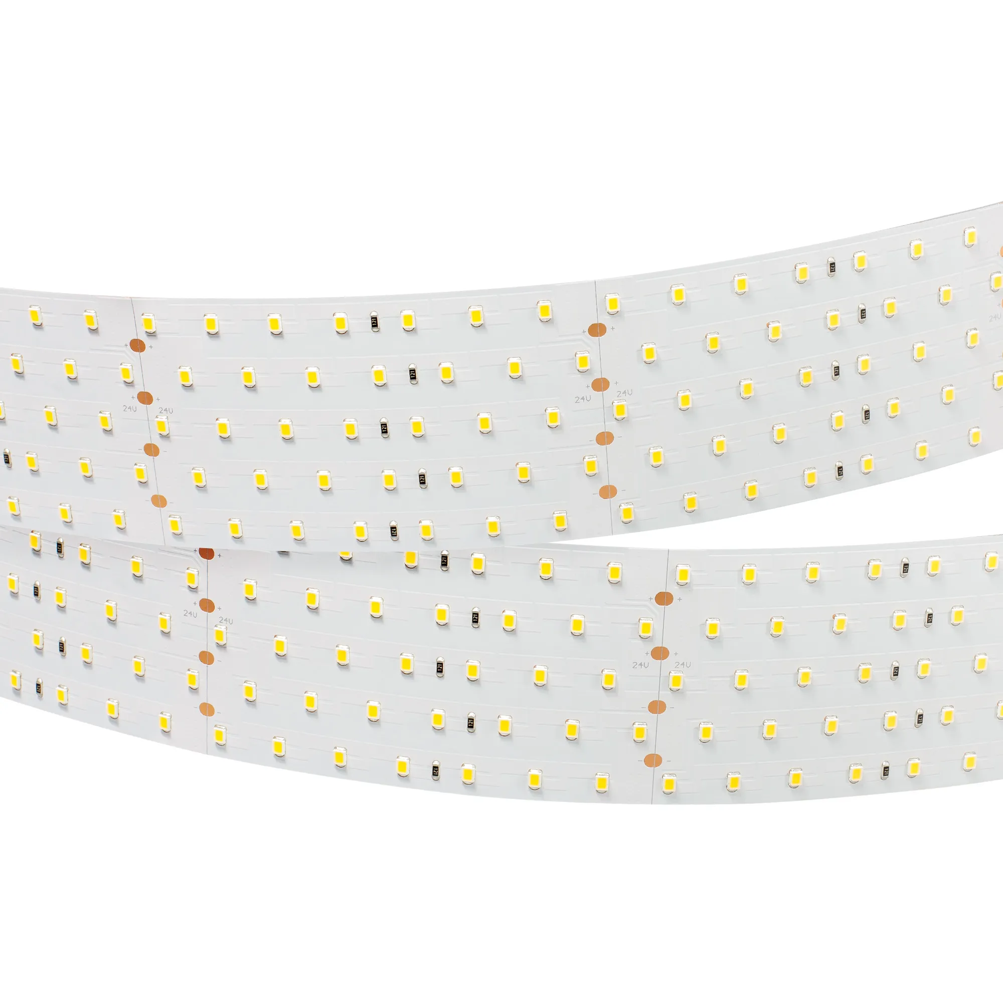 Лента светодиодная RT 2-2500 24V Day4000 5x2 (2835, 875 LED, LUX) (Arlight, 36 Вт/м, IP20) - изображение товара