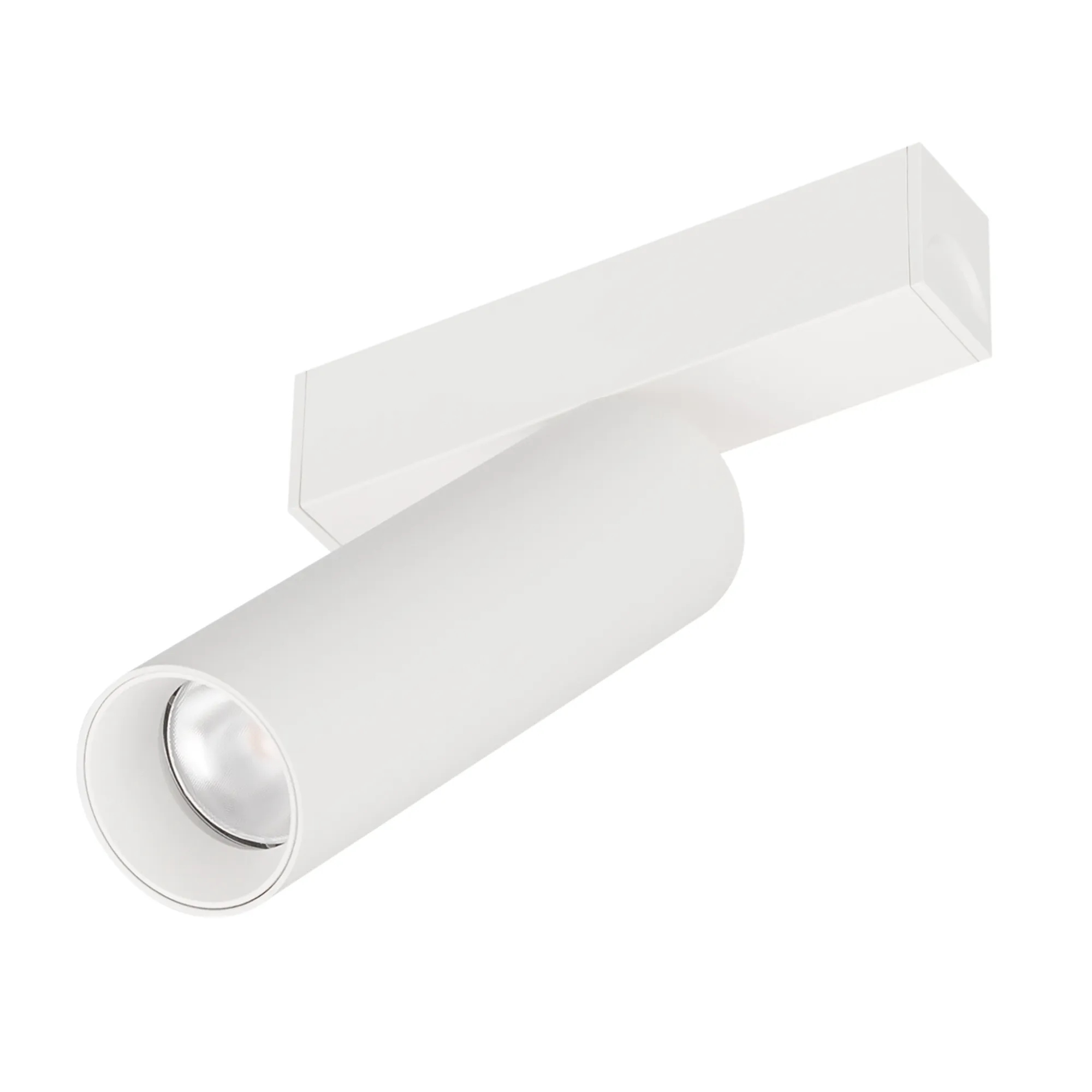 Светильник MAG-SPOT-25-R120-12W Day4000 (WH, 30 deg, 24V) (Arlight, IP20 Металл, 3 года) - изображение товара